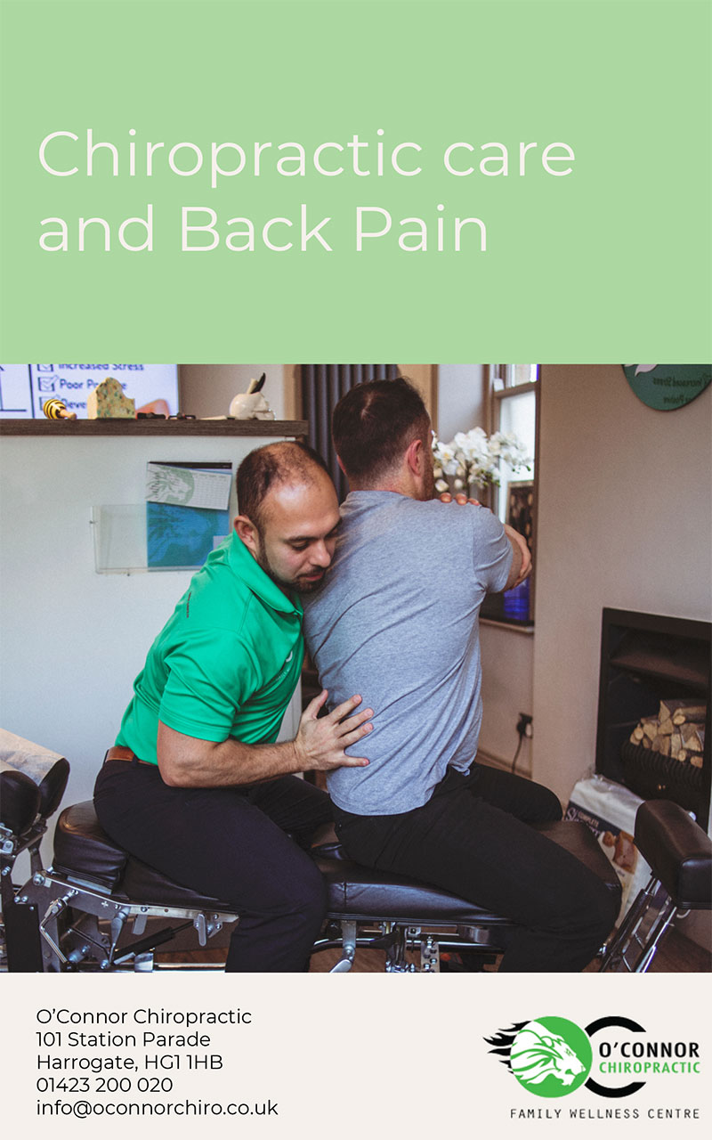 Chiropractic Care and Back Pain