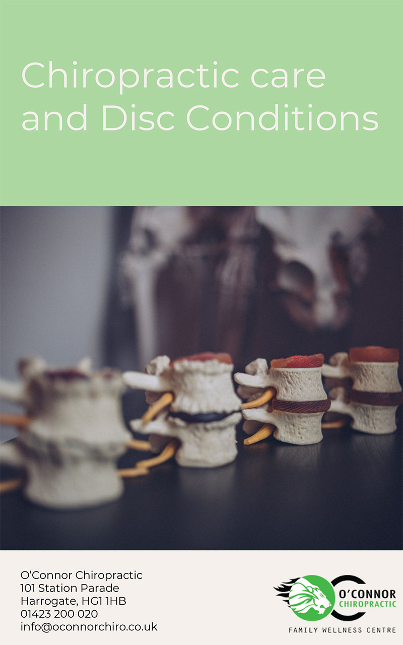 Chiropractic Care and Disc Conditions