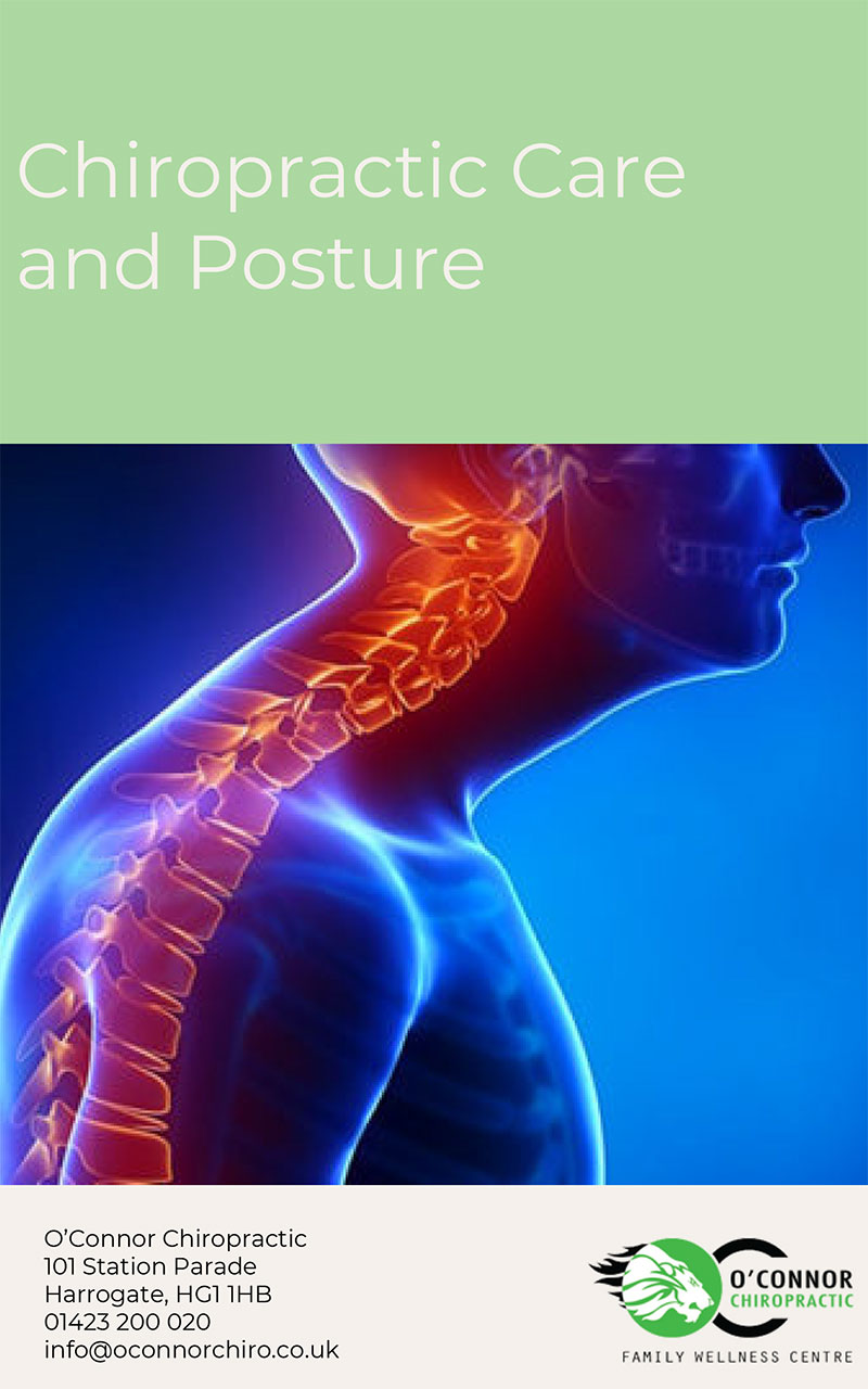 Chiropractic Care and Posture