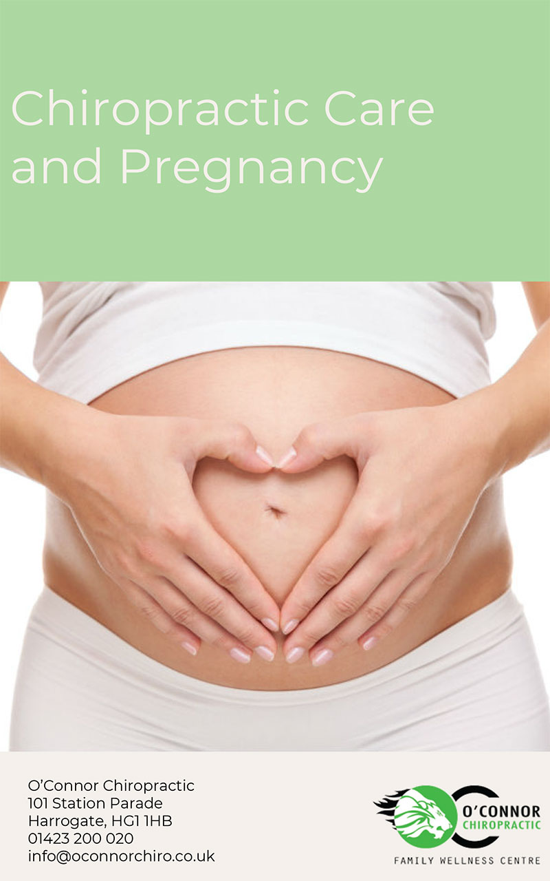 Chiropractic Care and Pregnancy