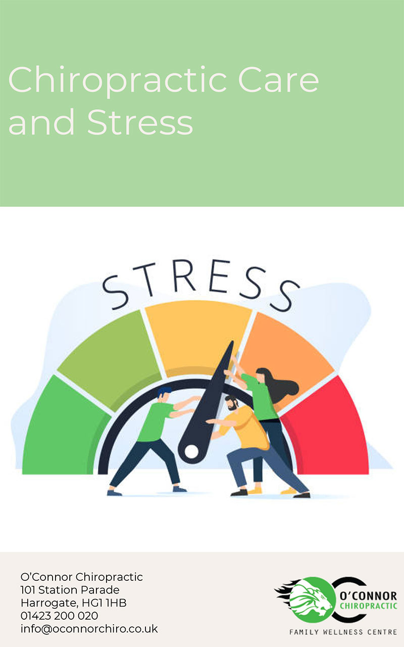 Chiropractic Care and Stress